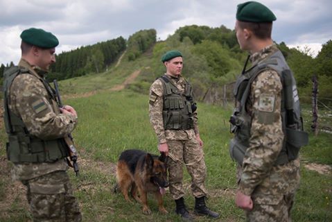 На Закарпатті затримали мешканця Чернігівщини, що незаконно мандрував до Угорщини