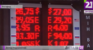 Курс гривні до долара в закарпатських обмінниках піднявся на гривню (ВІДЕО)