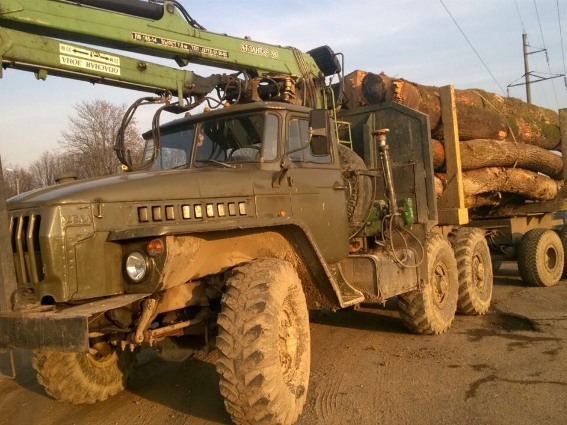На Хустщині затримали "Урал", що перевозив "невідповідну" деревину дуба