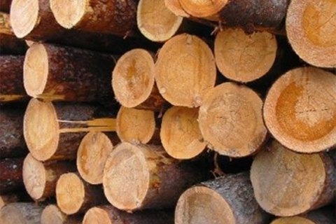 Рахівські депутати просять керівництво держави не дозволити перетворити Карпати на сировинний придаток