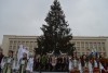 Головна ялинка Закарпаття засяяла новорічними вогнями (ФОТО)