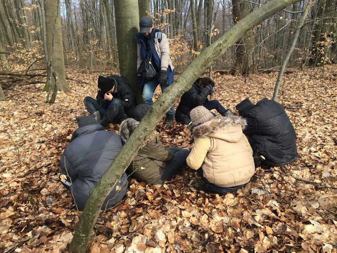 На Закарпатті затримали групу нелегальних мігрантів із В'єтнаму (ФОТО, ВІДЕО)