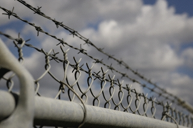 За вбивство колишнього співмешканця жительку Хустщини засудили до 7 років в'язниці 