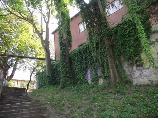 Меценати відновлять в Ужгороді парк, який донедавна берегли лише архіви