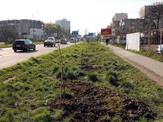 В Ужгороді висадили сакури в пам'ять про загиблого правоохоронця Миколу Боб'яка (ФОТО, ВІДЕО)