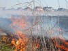 За один вечір на Закарпатті довелося чотири рази гасити загорання трави й чагарників