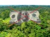 На Закарпатті з нелегальною вирубкою лісів боротимуться мобільні опергрупи