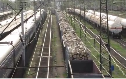 Прокуратура проведе перевірку по факту затримання 22 вагонів "дров" в Чопі