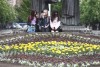 У Мукачеві облаштували клумбу у формі вишиванки (ФОТО)
