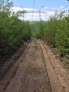 Мукачівський та Перечинський райони з’єднає нова дорога