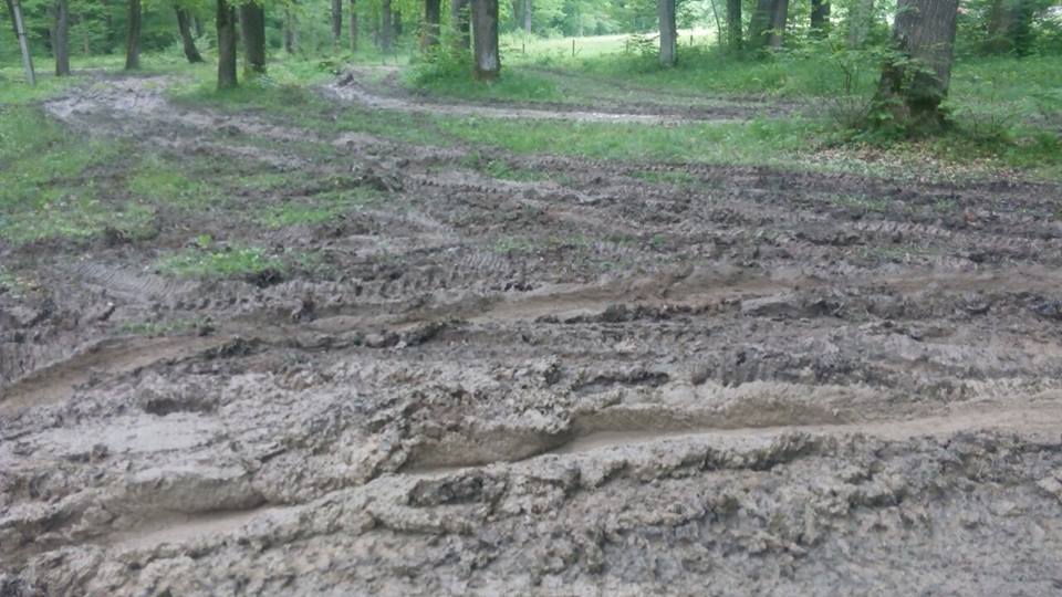 На Тячівщині джипами "переорали" територію заказника (ФОТО)