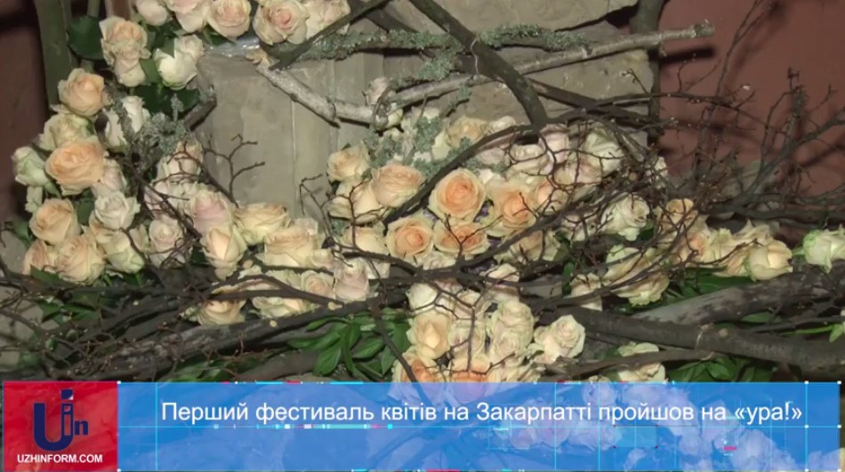 На території Чинадіївського замку Сент Міклош провели масштабний фестиваль квітів (ВІДЕО)