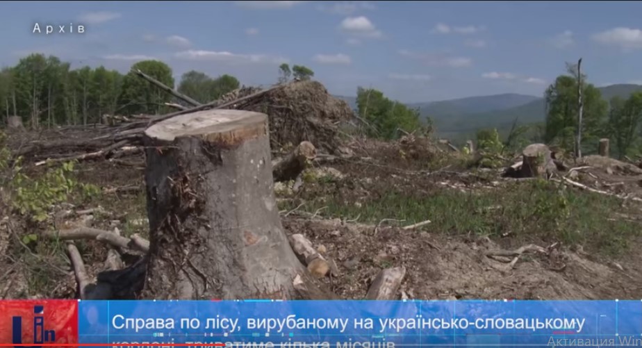Збитки від вирубки лісу у прикордонні Закарпаття визначатить спеціальна експертиза (ВІДЕО)