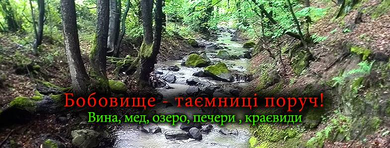 У неділю з Мукачева відправиться велоподорож до "винного села"