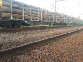 У затриманих на Закарпатті вагонах із деревиною виявили недоваги майже на 1,5 тис тонн