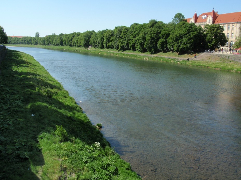 В Ужі в Ужгороді, потрапивши в заглибину, потонув 12-річний хлопець