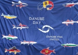 У День Дунаю на Закарпатті готуватимуть рибні страви, слухатимуть доповіді на баржі та малюватимуть "рибу бажань"
