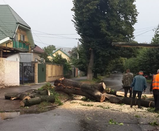 В Ужгороді комунальники ліквідовували наслідки сьогоднішнього буревію (ФОТО)