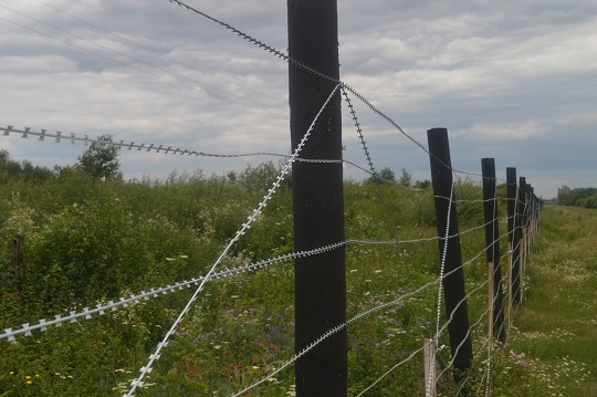 На Закарпатті сигаретних контрабандистів зупиняли пострілами