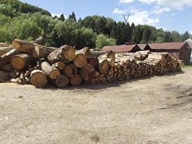 У результаті обшуків у Воловецькому лісгоспі вилучено майже 100 кубометрів "сумнівного" лісу (ФОТО)