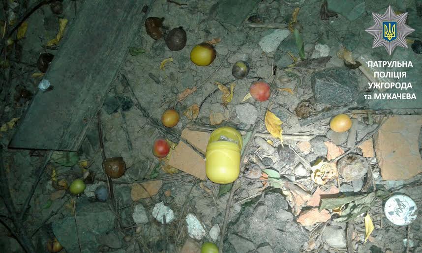 Вночі в Ужгороді у пасажирів "Фольксвагена" вилучили наркотики (ФОТО)