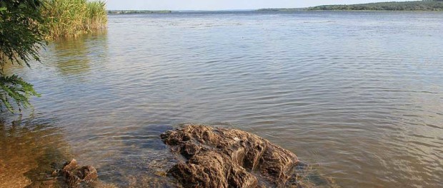 У Рахові рятували літню жінку, що з необережності впала у Тису