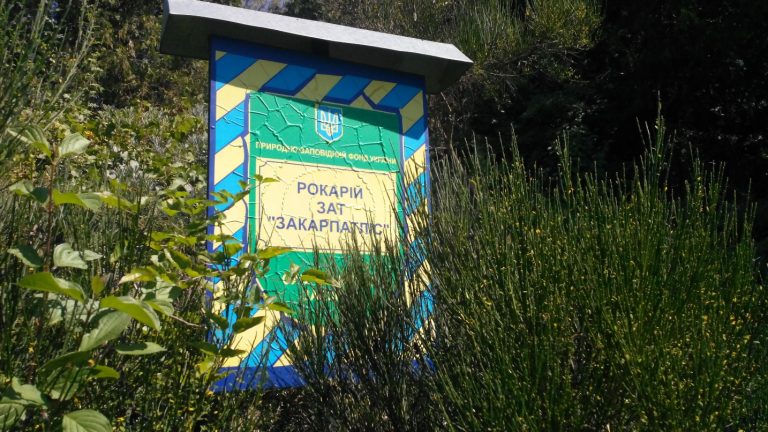 В Ужгороді хочуть продати парк-рокарій на Собранецькій