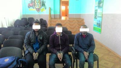На Виноградівщині затримали 3-х індійців-нелегалів, що шукали кордон з Угорщиною (ФОТО, ВІДЕО)