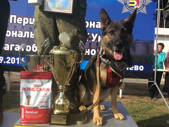 Перший чемпіонат Національної поліції України на Закарпатті виграв кінолог з Тернопільщини (ФОТО)