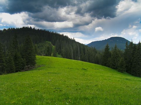 Уночі на Рахівщині шукали туристів, що заблукали в горах 