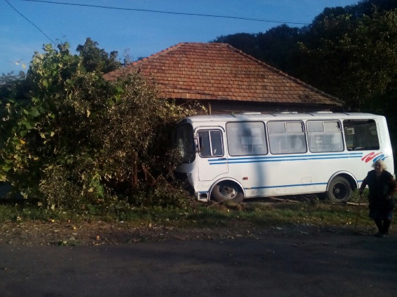 Двоє із чотирьох постраждалих в "автобусній" аварії на Мукачівщині – неповнолітні. Водій був тверезий – поліція (ФОТО)
