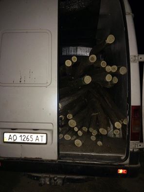 Мешканець Виноградівщини перевозив 75 тонкомірів акації без документів (ФОТО)
