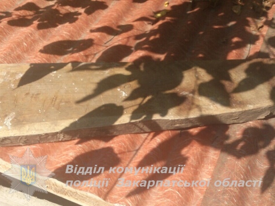 Міліція розповіла про обставини вбивства жителем Великого Раковця матері дошкою (ФОТО)