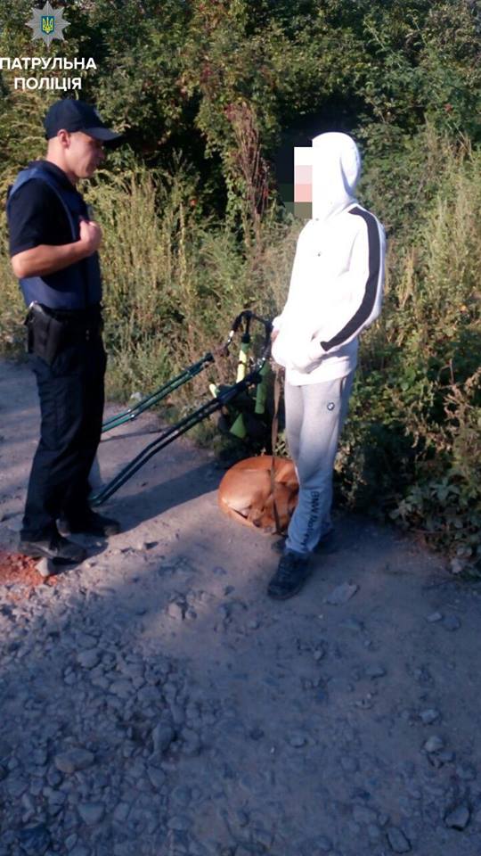 Через підозрілу гойдалку поліцейські виявили в ужгородці підозрілі рослини (ФОТО)