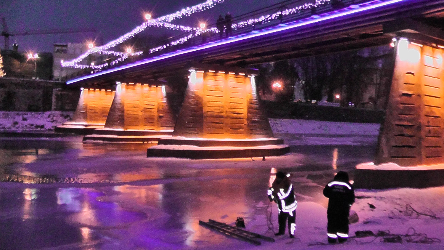 В Ужгороді рятувальники звільняли качок та лебедів з крижаного полону (ФОТО)