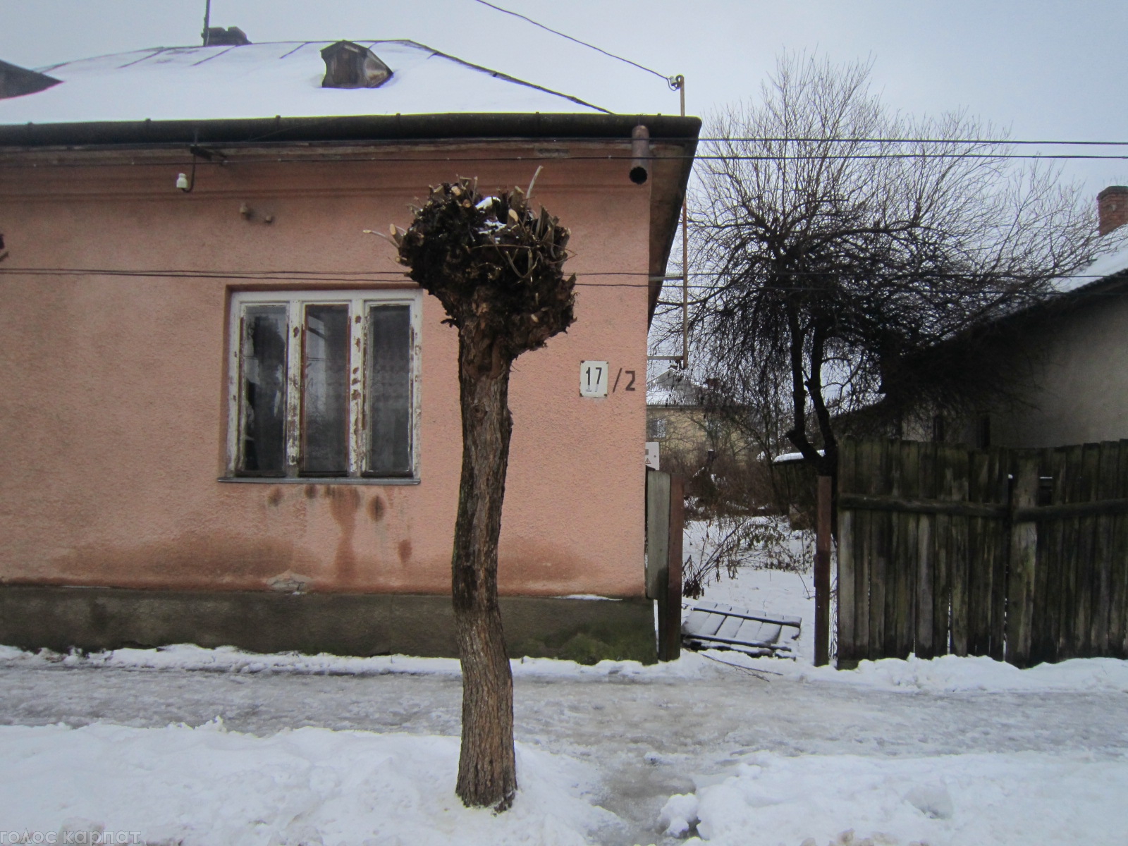 У Виноградові в будинку бомжі знайшли труп мертвого господаря (ФОТО)