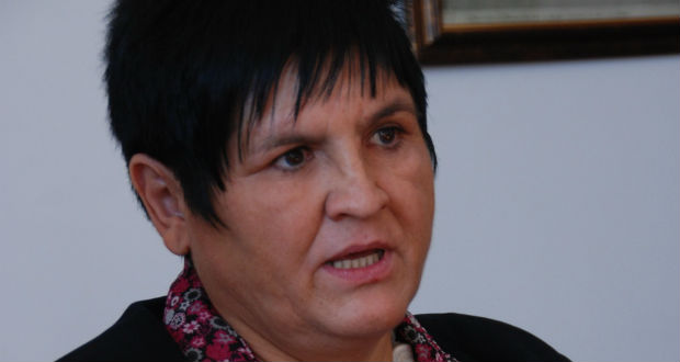 Депутат Закарпатської облради від KMKSZ вважає "дискримінацією" інформацію про рівень володіння державною мовою педагогів-угорців