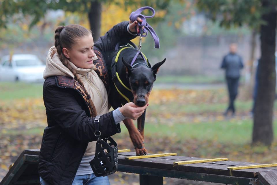 У Мукачеві відбулося урочисте відкриття дресирувального парку для собак (ФОТО)