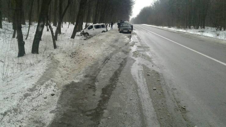 На Рахівщині водій мікроавтобуса, не впоравшись із керуванням, з'їхав у кювет