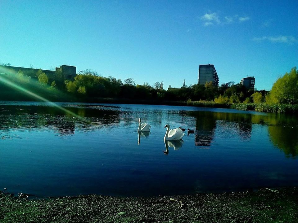 Під електронною петицією за збереження Кірпічки в Ужгороді залишилося зібрати всього 44 підписи