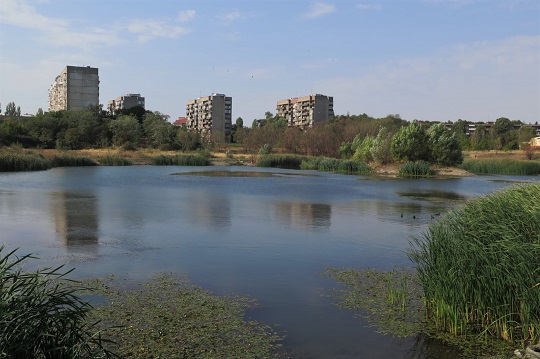 Під електронною петицією за збереження Кірпічки в Ужгороді залишилося зібрати всього 11 підписів