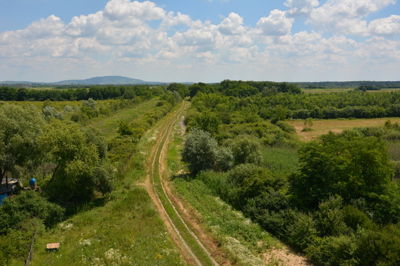 Затриману в ході спецоперації екс-очільницю "земельників" Берегівщини хочуть тримати під вартою (ФОТО)