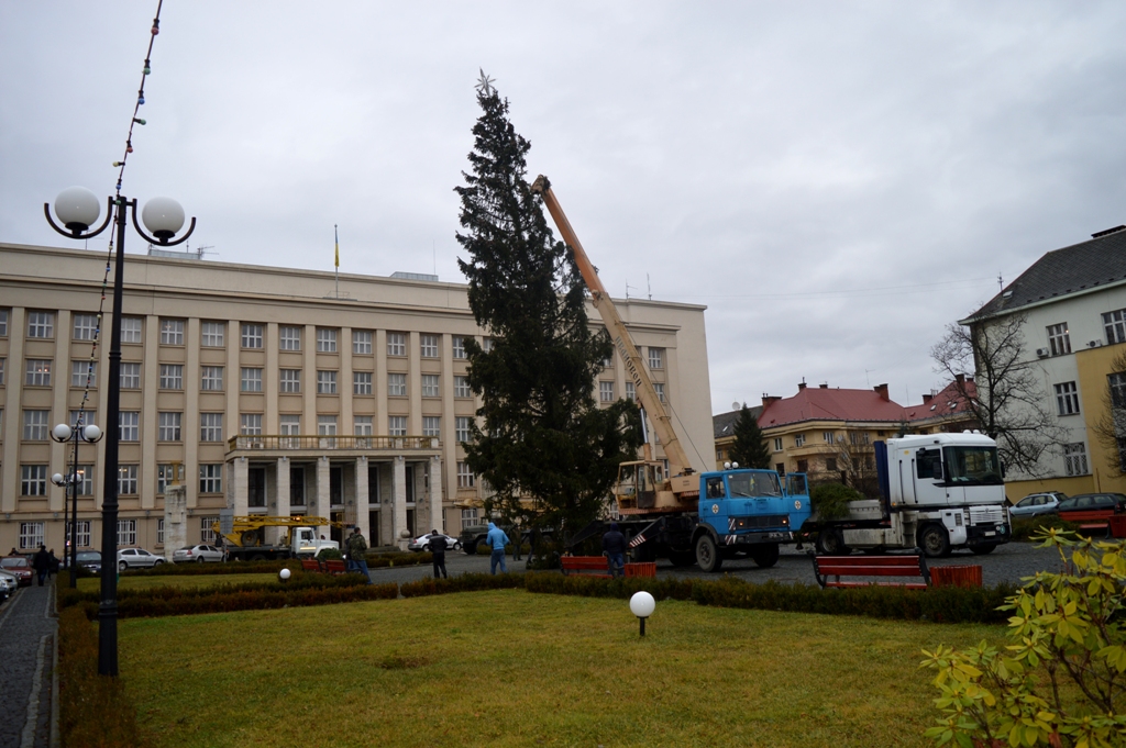 В Ужгороді встановлюють головну ялинку Закарпаття (ФОТО)