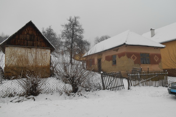 На Свалявщині двоє жителів Малої Мартинки викрали вночі в пенсіонерки корову і продали м'ясникові (ФОТО)