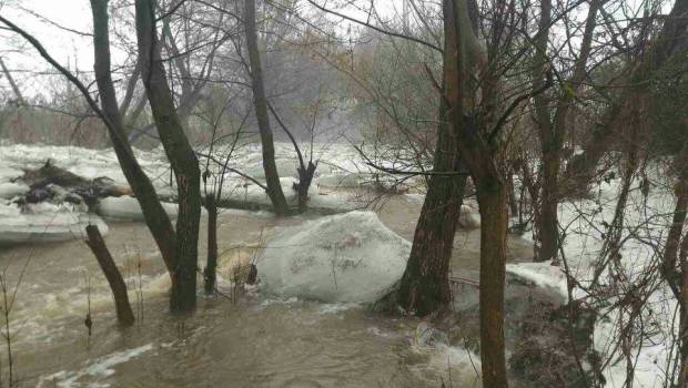 У закарпатських Латориці й Боржаві рівень води досяг історичного максимуму паводка 2001 року