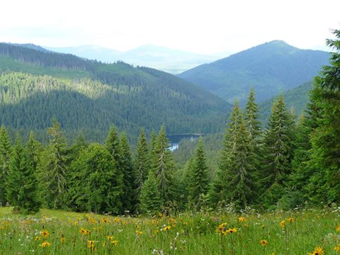 Міжгірщина шукає логотип і гасло на конкурсі 