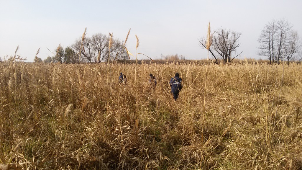 На Ужгородщині від ночі розшукують травмованого чоловіка, що заблукав