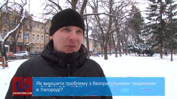 Ужгородці висловлюються за цивілізоване вирішення проблеми безпритульних тварин (ВІДЕО)