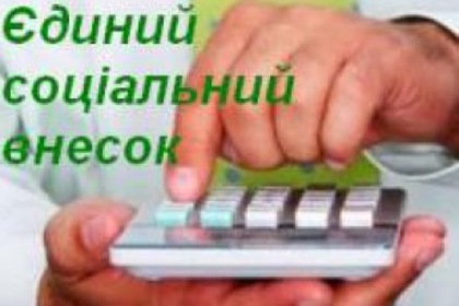 У січні на Закарпатті сплачено майже 190 млн грн ЄСВ