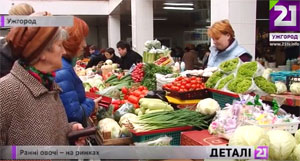 На ринках Ужгорода з'явилася перша рання городина (ВІДЕО)
